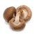 Шиїтаке