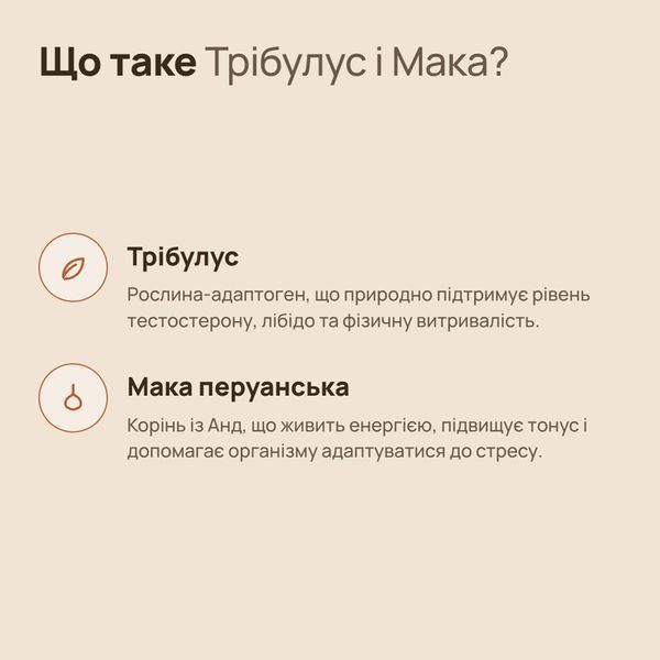 Чоловіче здоров'я | Трібулус + Мака | 1 місяць CZ-TM-1M фото
