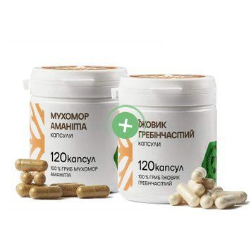 Нервова система | Мухомор Червоний, 120 капсул + Їжовик Гребінчастий, 120 капсул SET-NS-AMR120C-HER120C фото